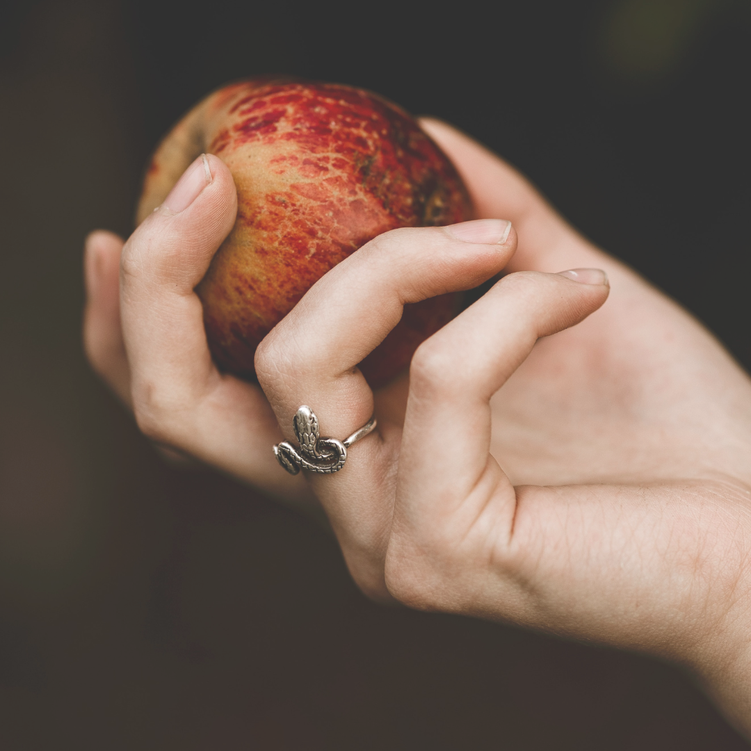 Cosmology of the Rose - square images(7) A woman's hand holds a red apple. She is wearing a silver ring in the shape of a snake or serpent. The imagery reminds us of the story of the Garden of Eden.