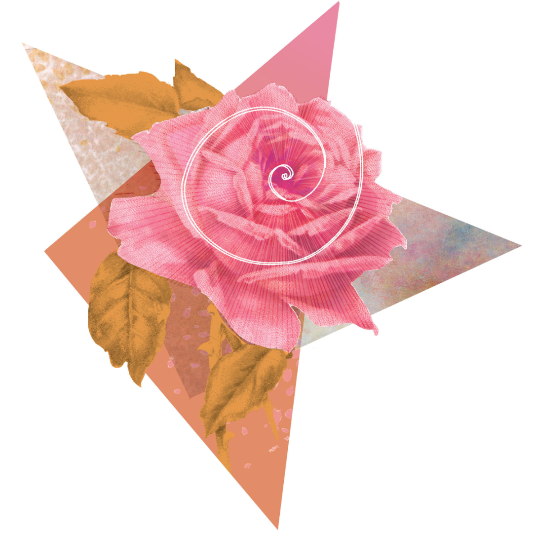 Rose - energetic pathway Illustration of a pink rose with gold leaves and a white spiral shape layered over the petals