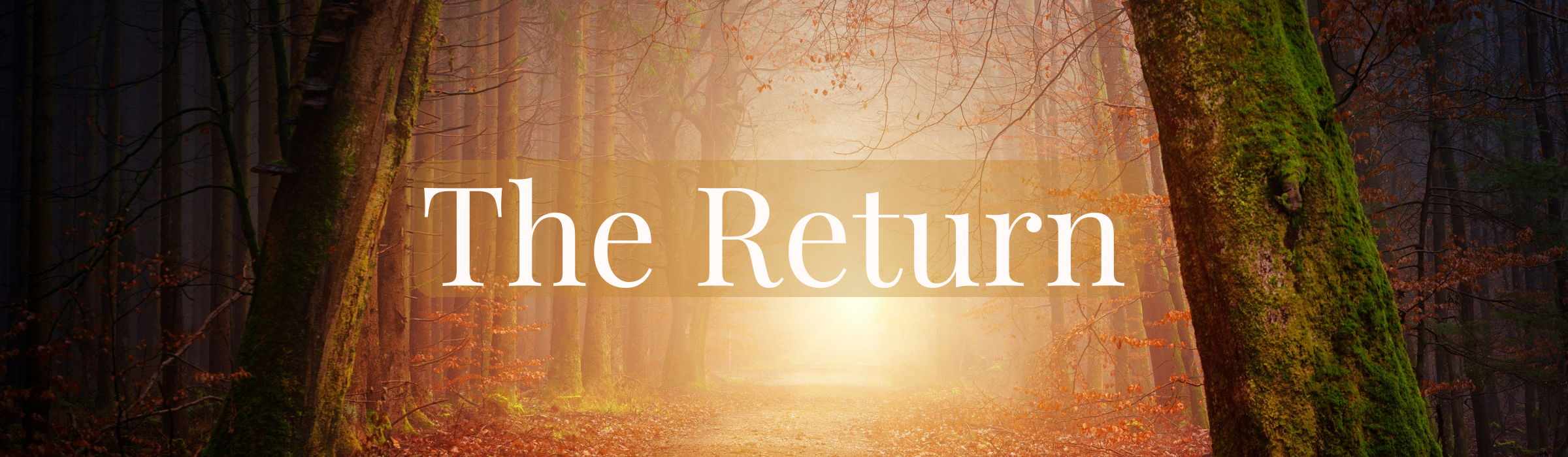 The Return Header Image An image of a dark wood with shining golden light ahead through a break in the trees. Across the image is the heading text in white: "The Return"