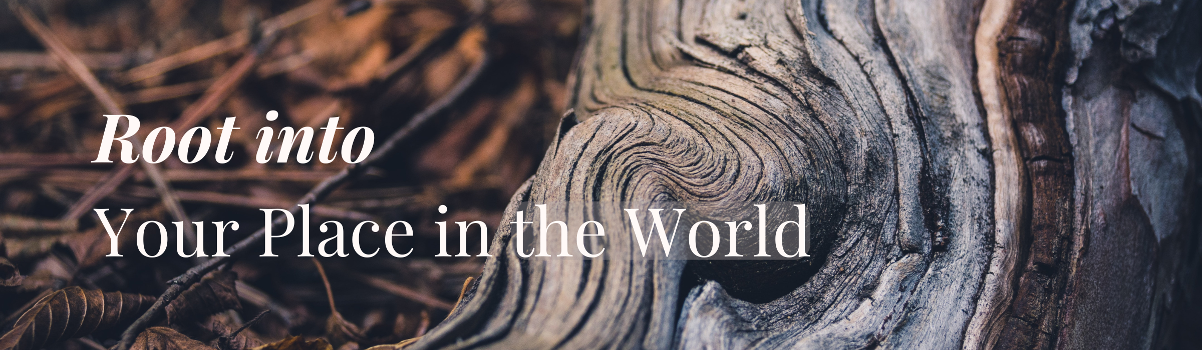 The Return - Headers An image of the base of an old tree trunk and soil with the words over it: "Root into your place in the world."