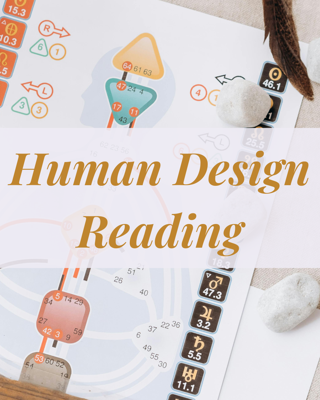 Image of a colourful Human Design chart with the heading in gold letters: "Human Design Reading"