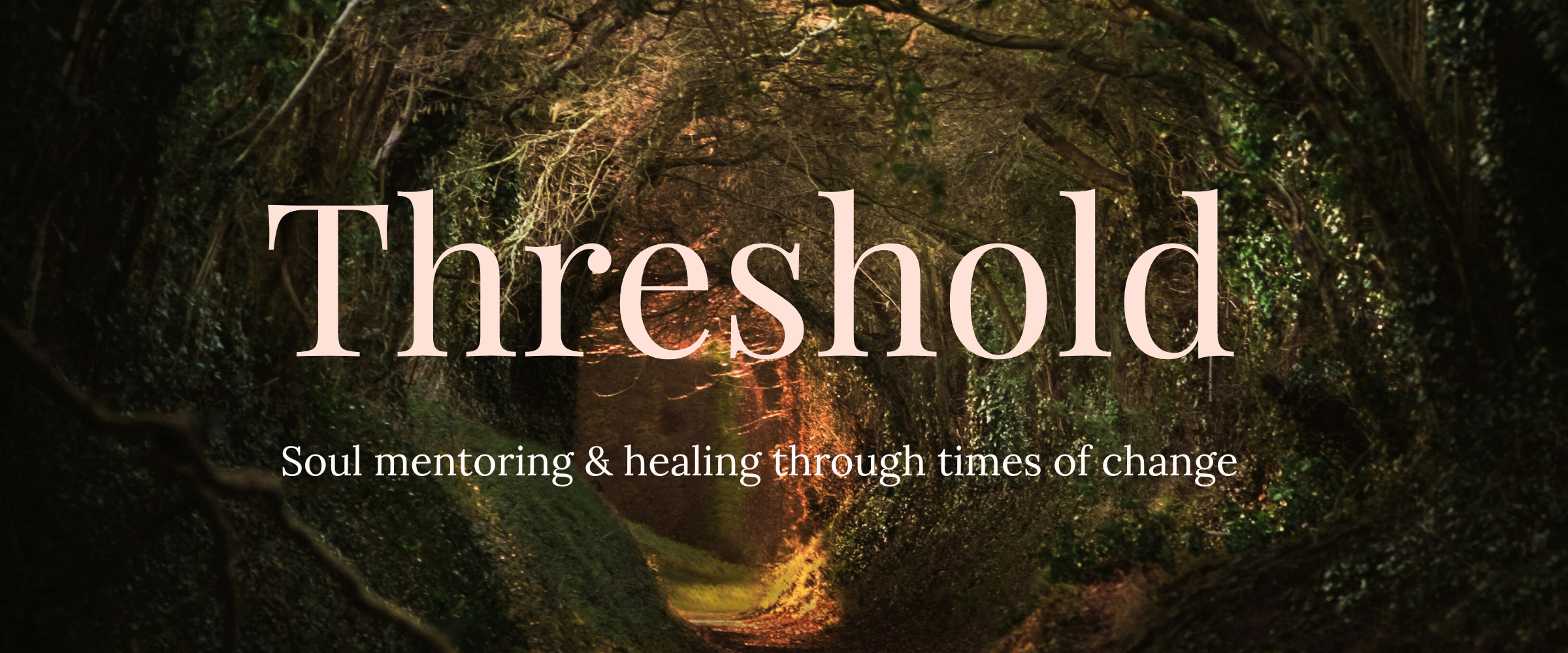 Full width image of a path through a dark forest with a clearing and light up ahead. The heading across it give the name of a programme: Threshold: "Soul mentoring and healing through times of change"